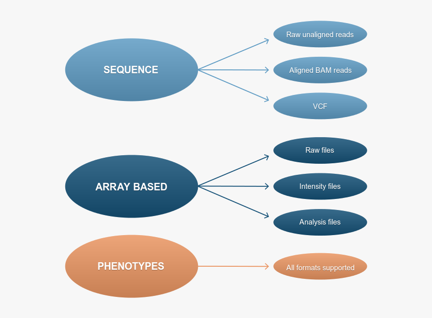 Ega Accepted Data Types , Png Download - Circle, Transparent Png