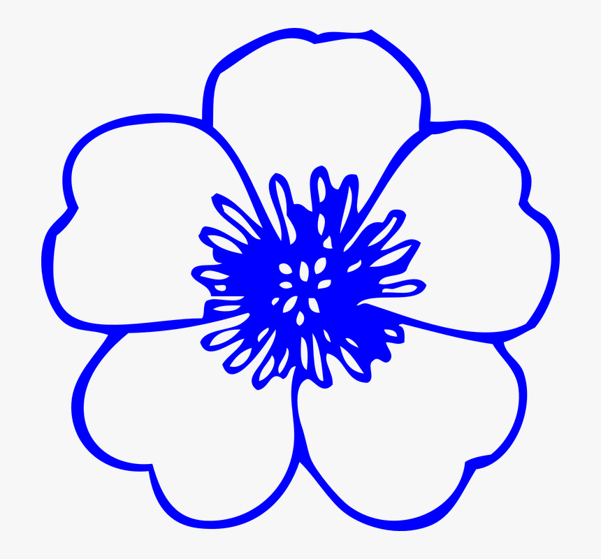 Flower, Buttercup, Blue, Outline, Spring, Flora, Plant, HD Png Download
