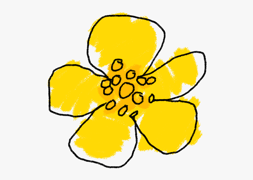 Buttercup Baby Room, 0-12 Months Nursery - Clipart Buttercup, HD Png Download