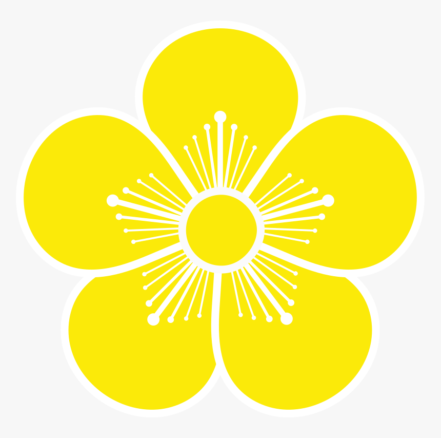 Circle, HD Png Download