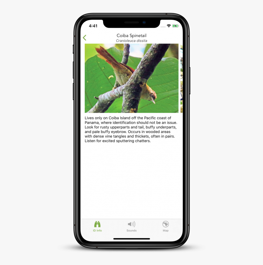 Iphone, HD Png Download