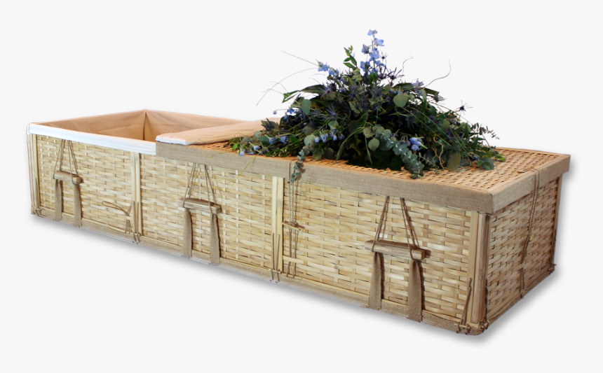 Bonsai, HD Png Download