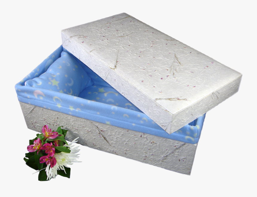 All In 1 Baby Casket, HD Png Download
