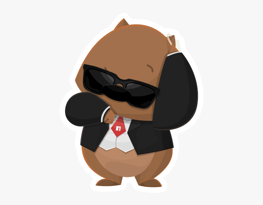 Duck, HD Png Download