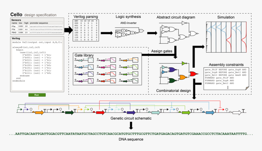 Asimov Genetic Circuit, HD Png Download