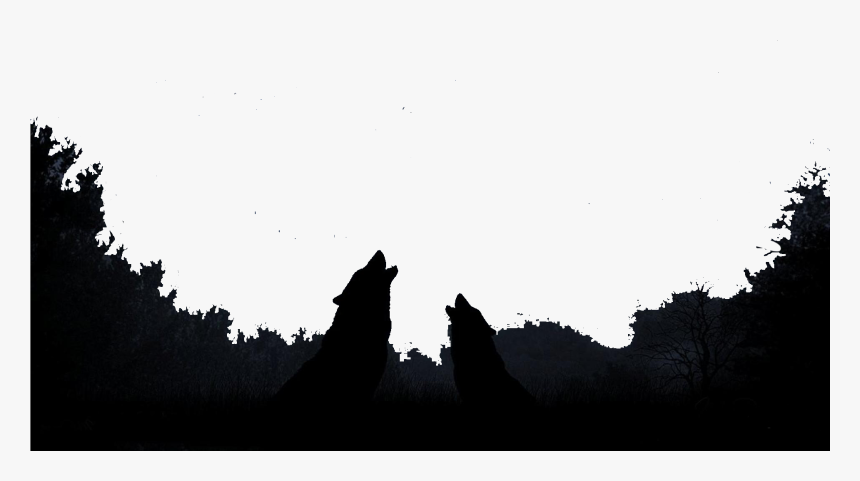 Transparent Silhouettes Moon Png - Moon Texture Transparent, Png Download