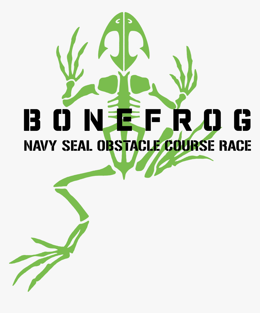 Bone Frog Logo, HD Png Download