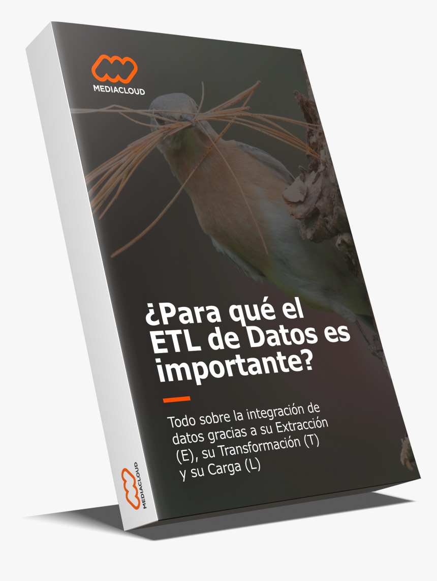 Importante Png, Transparent Png