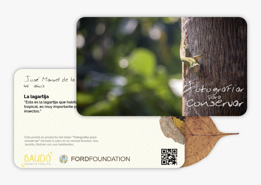 Honeybee, HD Png Download