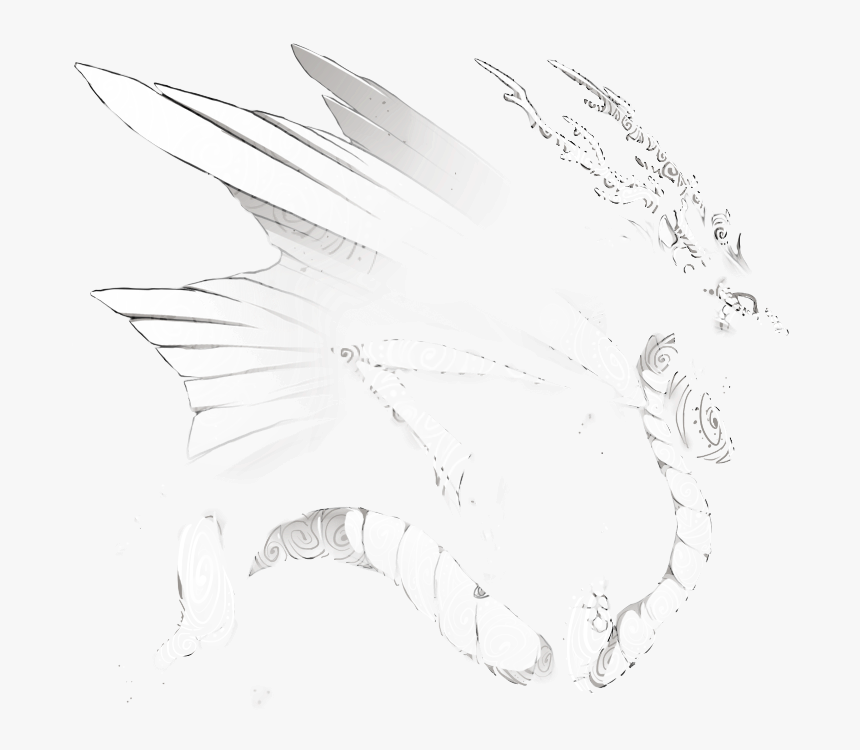 Ynymn1u - Sketch, HD Png Download