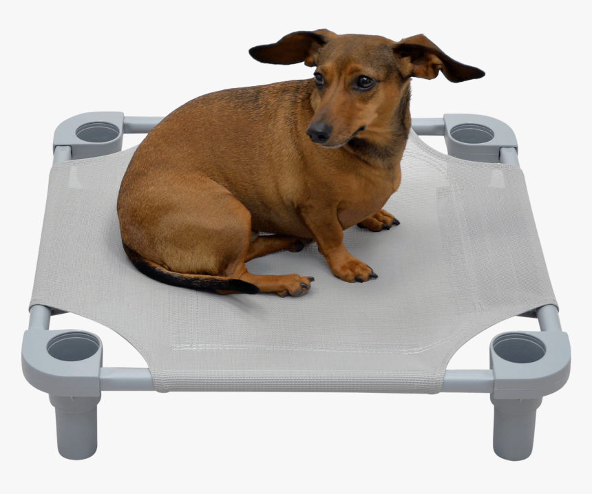 Solid Color Premium Weave Dog Cot - Companion Dog, HD Png Download