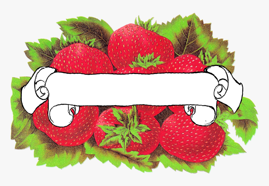 Label Blank Strawberry Download Printable, HD Png Download