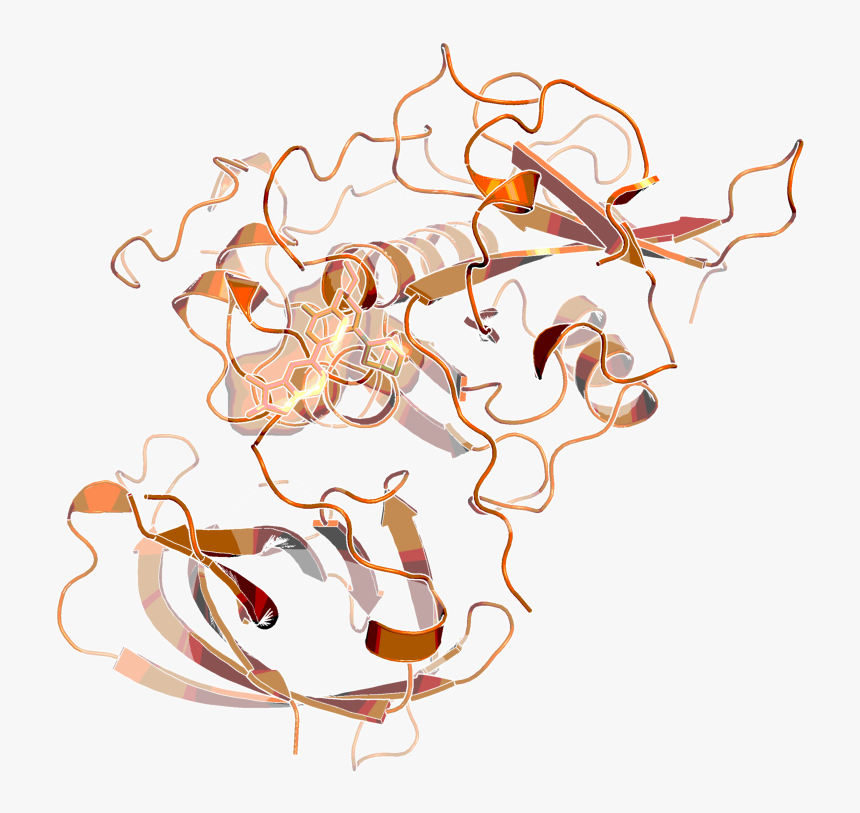 Bi 9740, 3 D Conformation Co Crystalized In The Catc - Vector Graphic Wedding Bouquet, HD Png Download