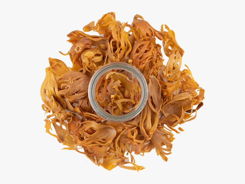 Blade Mace 3 - Chinese Noodles, HD Png Download