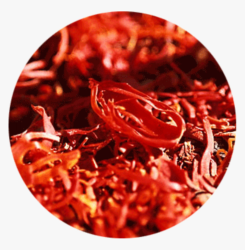 Mace Spice, HD Png Download , Transparent Png Image PNGitem