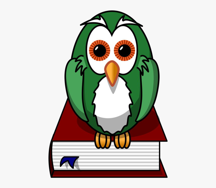 Owl,beak,bird, HD Png Download