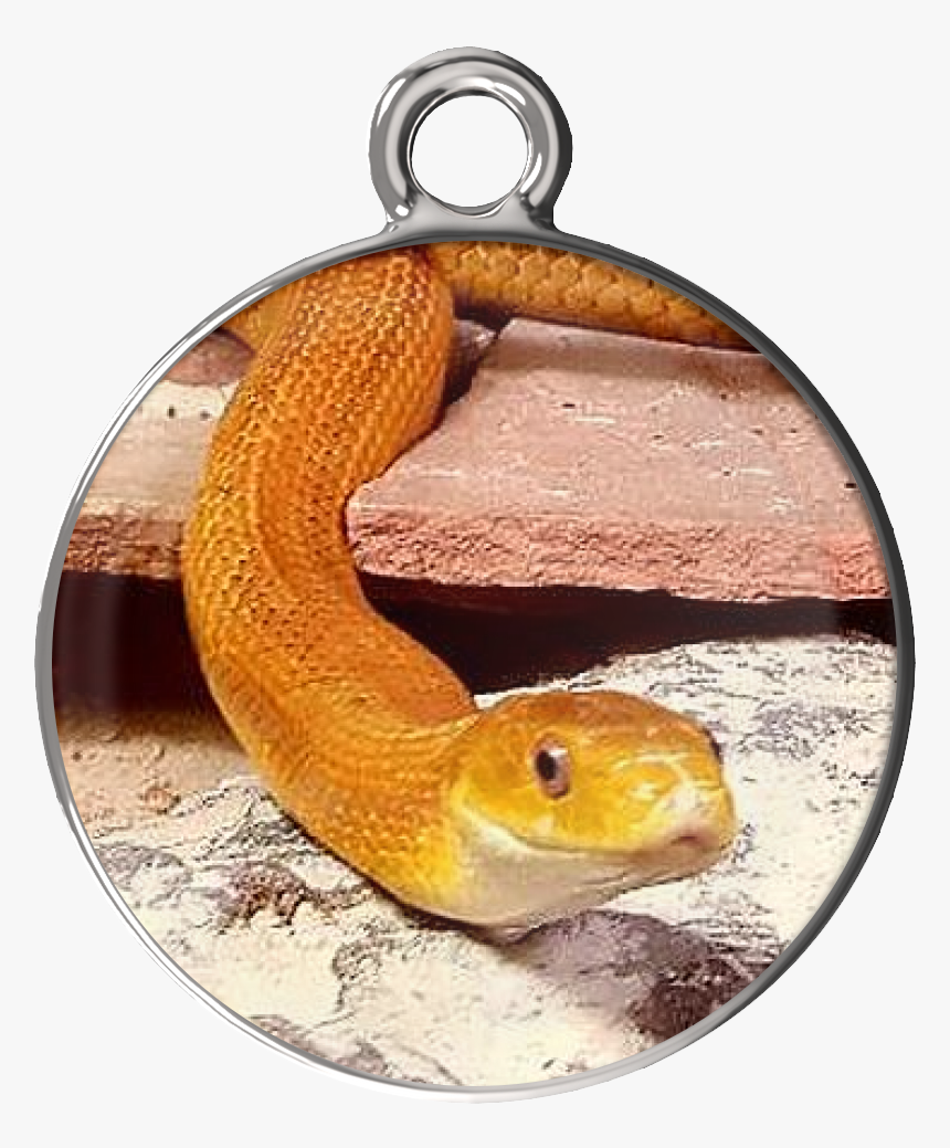 Eye Of The Beholder Charm Bracelet, HD Png Download