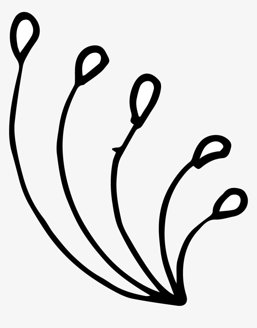 Hand Drawn Png, Transparent Png