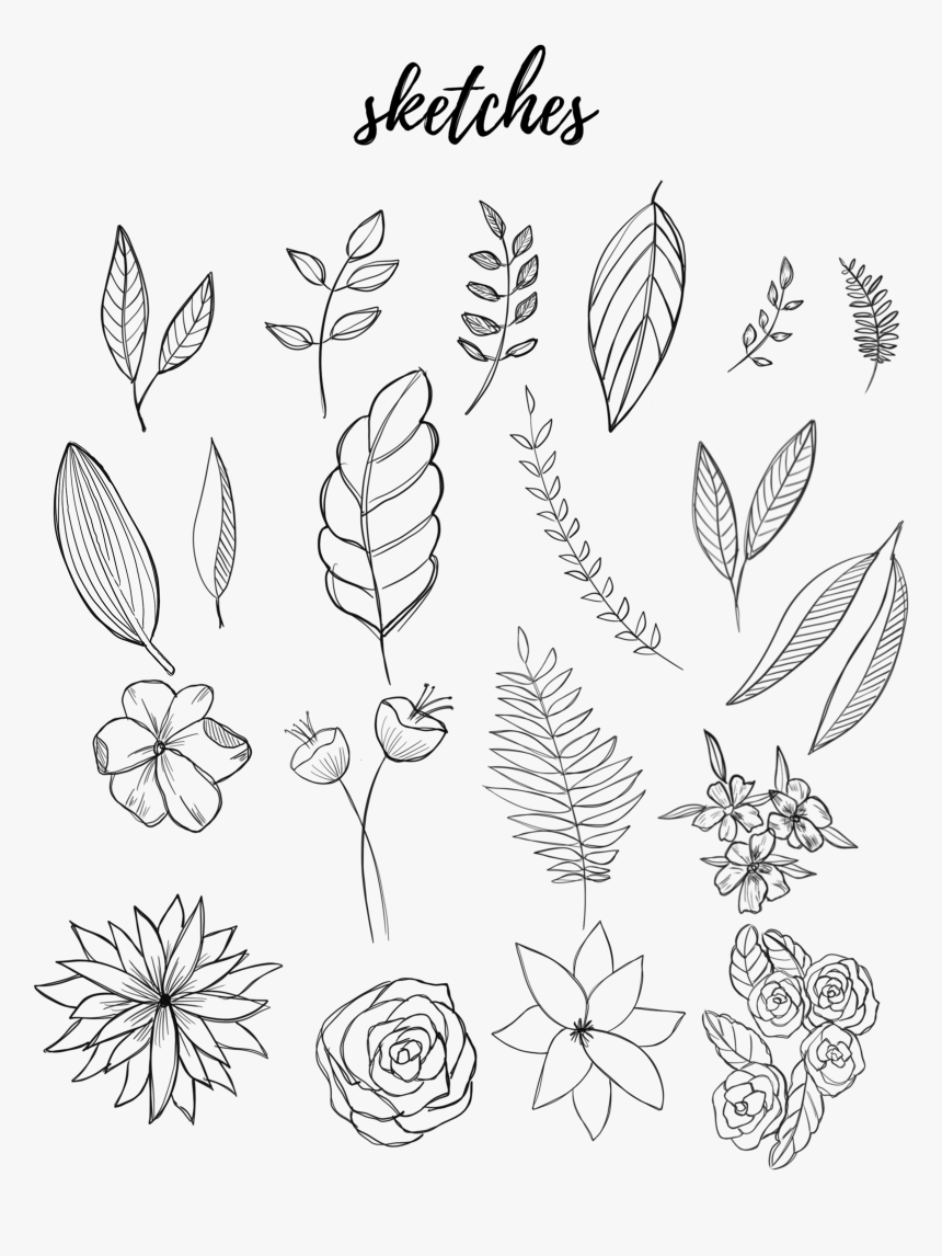 Drawing Journals Hand Drawn, HD Png Download