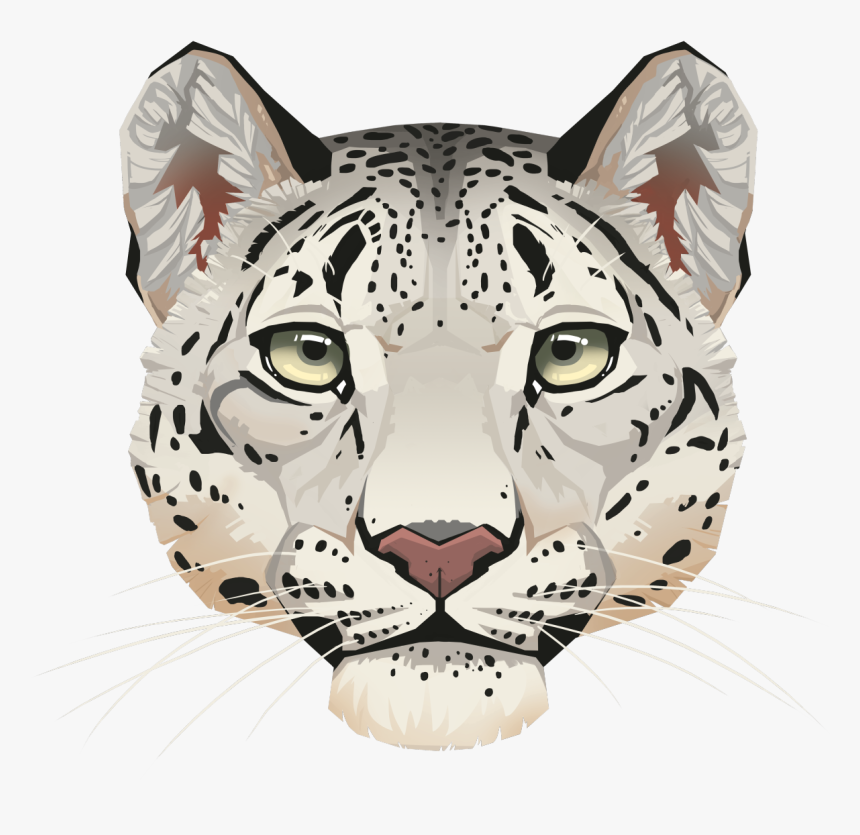 Snow Leopard Face By Eliket P, HD Png Download