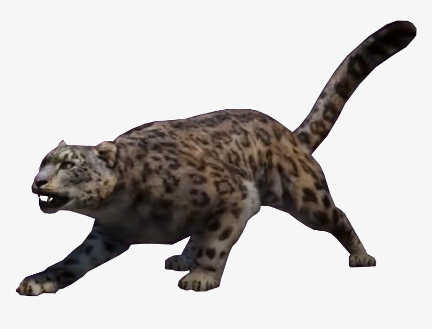 Transparent Leopard Png, Png Download