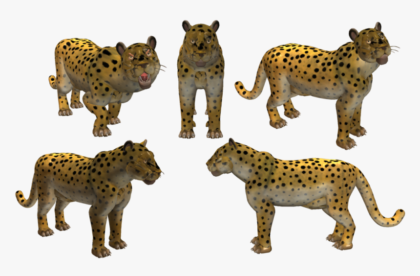 Transparent Leopard Png, Png Download