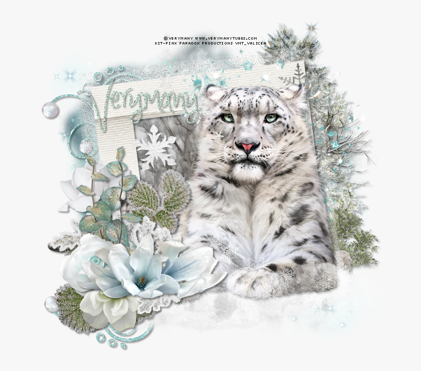 Snow Leopard By Verymany Found Here, HD Png Download