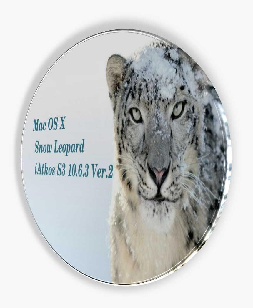 Snow Leopard Png, Transparent Png
