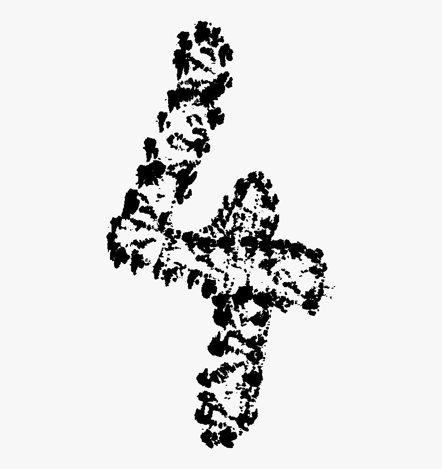 Number Line Png, Transparent Png