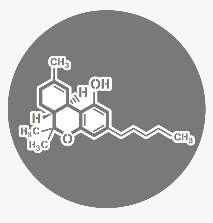 Weekly Yoga, HD Png Download