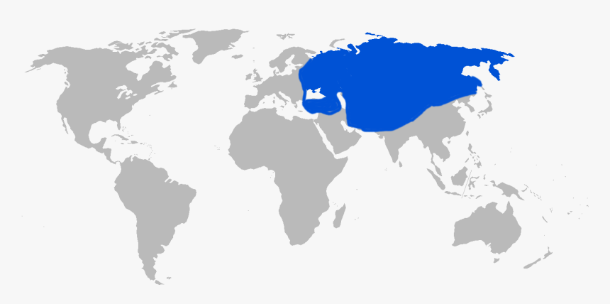 Blank World Map Png, Transparent Png