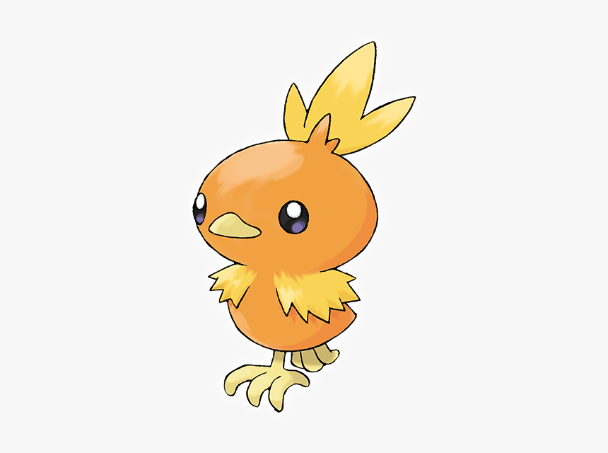 Torchic Png, Transparent Png
