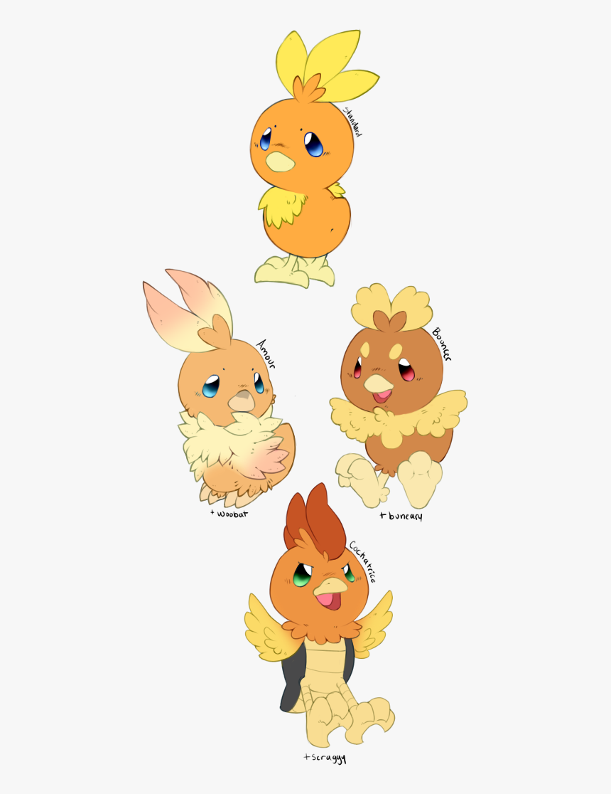 Remember Those Torchic Variants From A While Ago I, HD Png Download