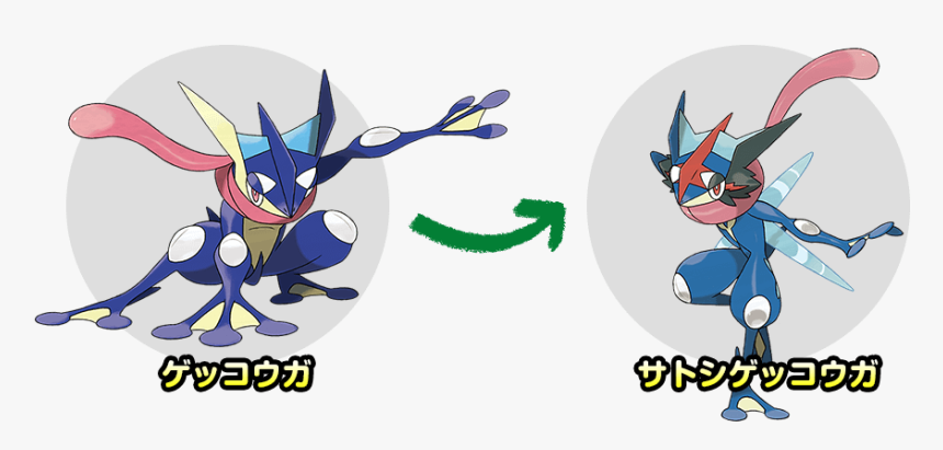 Torchic Png, Transparent Png