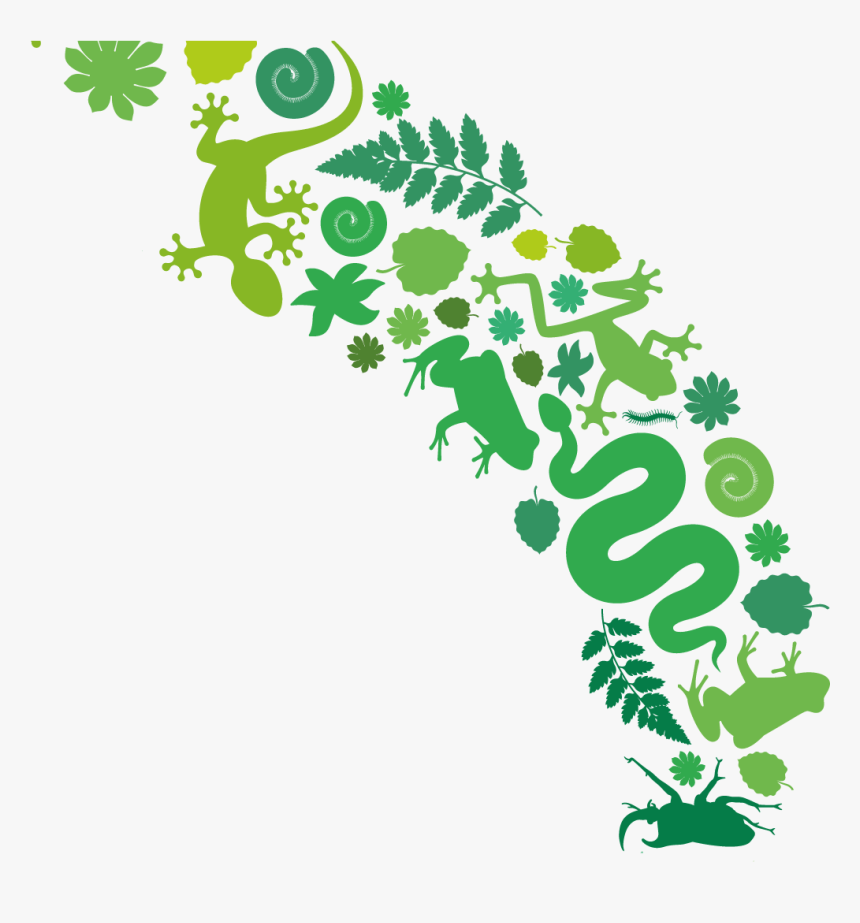 Planet Clipart Green Planet , Transparent Cartoons, HD Png Download