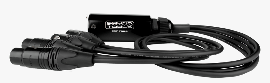 Cattails Png, Transparent Png