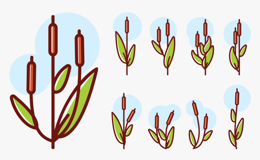 Cattails Icons Vector, HD Png Download