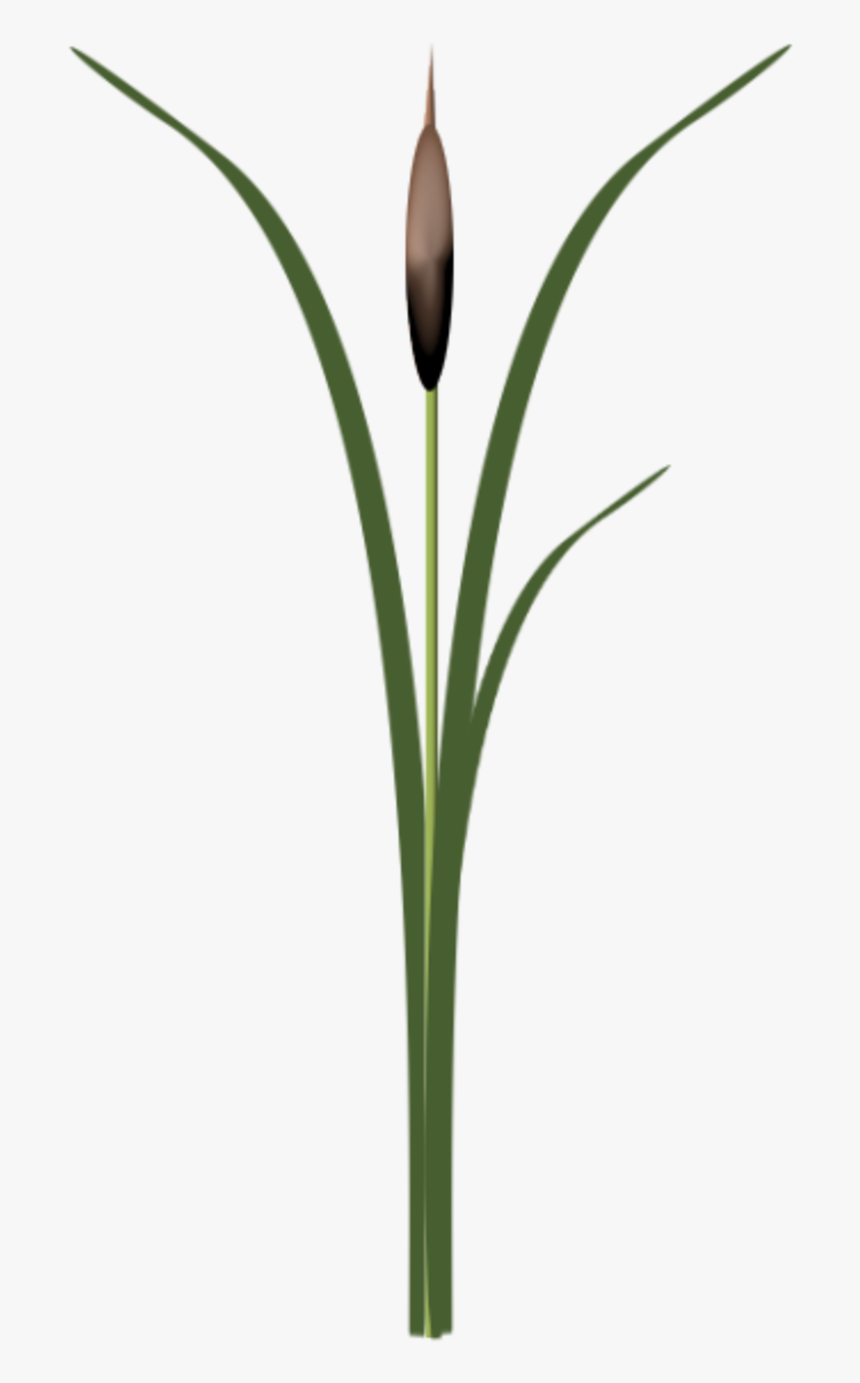 Thumb Image, HD Png Download