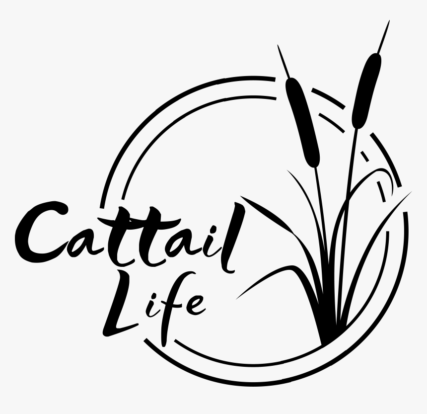 Freeingcattails Order Fo59bc7bdd21 Kz00a R08a, HD Png Download