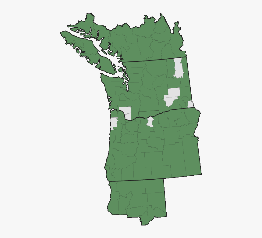 Cattails Png, Transparent Png