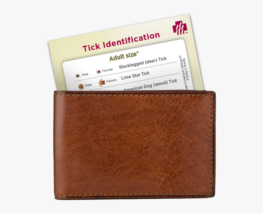 Tick Card In Wallet, HD Png Download