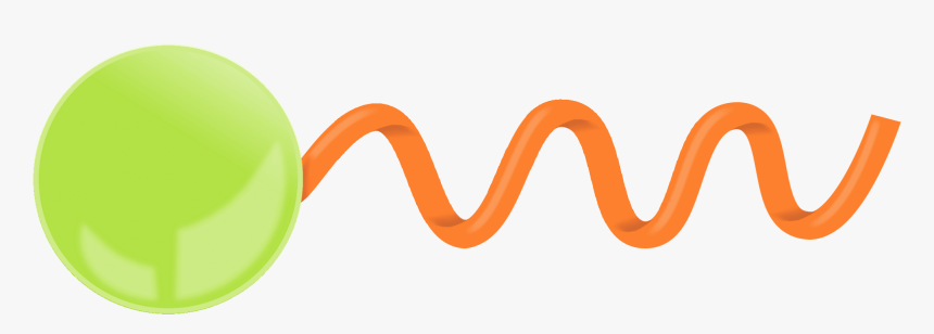 Cattails Png, Transparent Png