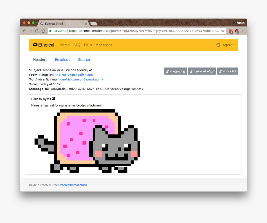 Nyan Cat Gif Png, Transparent Png