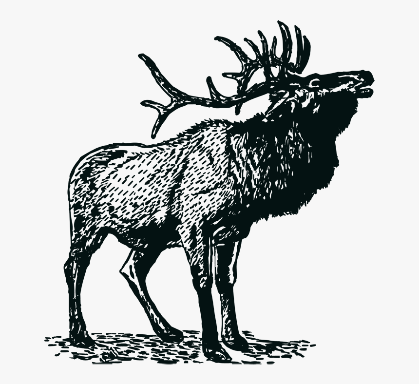 Transparent Where The Wild Things Are Png, Png Download