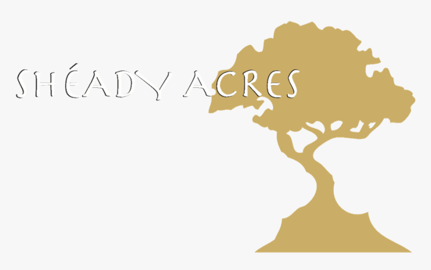 Sheady Acres, HD Png Download