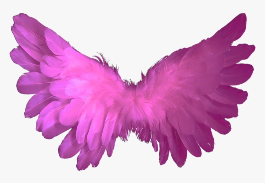 #beautiful #pink #wings #flying #fairy #halloween #butterfly, HD Png Download