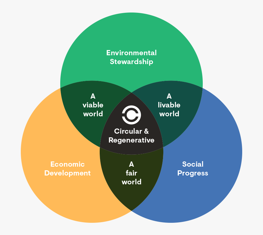 Cs Concentric Circles V2, HD Png Download