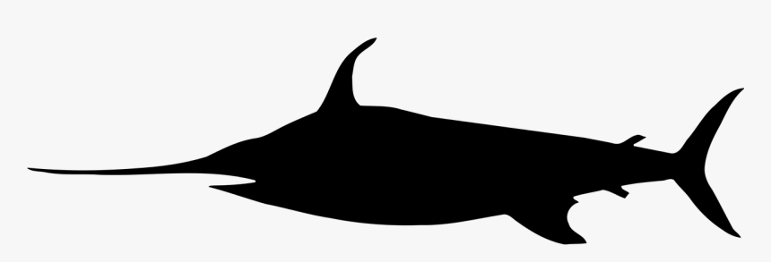 Swordfish Png, Transparent Png