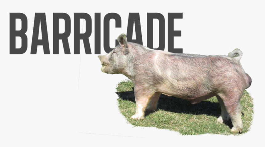 Barricade Png, Transparent Png