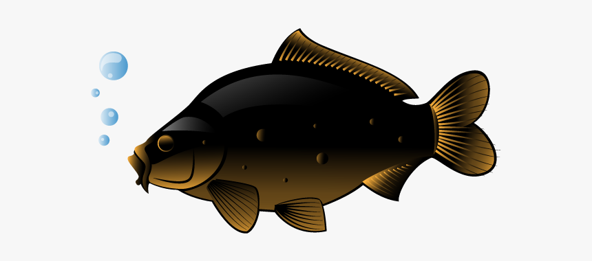 Swordfish Freshwater Fish Clip Art, HD Png Download